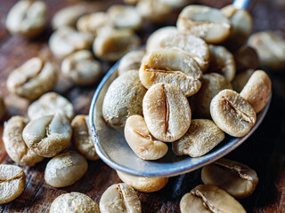 Green coffee bean on a stainless steel spoon, Close-up of fresh raw coffee bean, unroasted  coffee bean on wooden table, macro