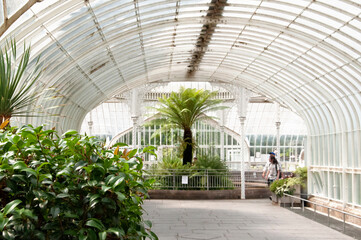 The inner corridorі and arches of the Victorian Botanic Garden. Palm with lush greenery in the centre, large bush in the front.