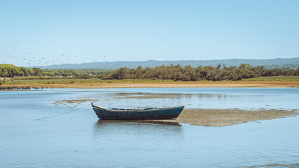 Boat in lake - Flying Birds - Lagoa de Melides, Portugal