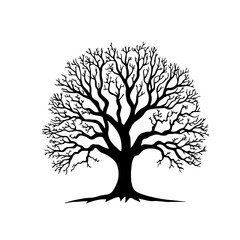 Fototapeta premium Black and white silhouette of a tree with intricate branches