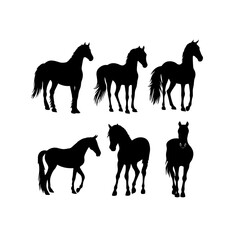 Black silhouette horse set featuring six different poses in vector format. A set of six different horse silhouettes, displaying various poses, drawn in black vector silhouette
