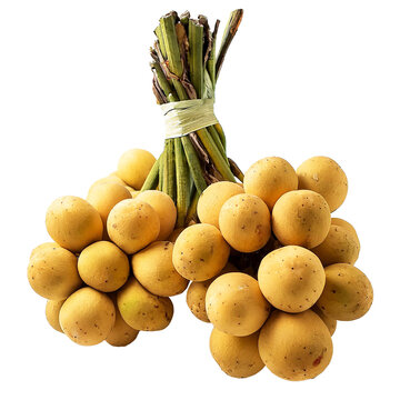 A bunch of Longkong or Long Kong isolated on transparent background