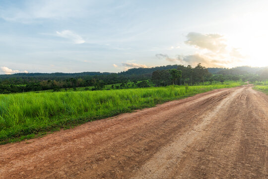 Landscape of gravel road in countryside with meadow. Road in rainy season. Side view of dirt road in forest at sunset. road background.