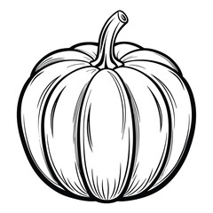 Pumpkin vegetable line art vector
