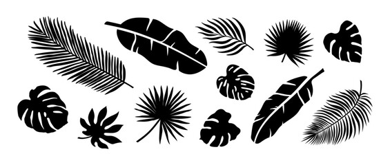 tropical leaf vector set. illustration graphic design art silhouette cut out collage banana leaf coconut leaf palm leaves monstera nature forest summer island vacation holiday travel tropic hawaii