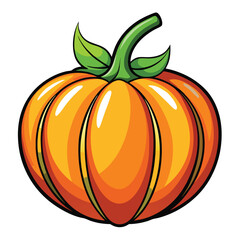 Pumpkin vegetable vector illustration
