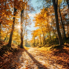 Fototapeta premium Autumn forest road at warm sunny fall morning.