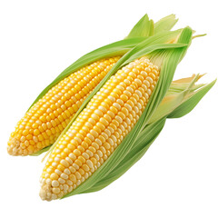 Yellow corn with green leaves isolated on a transparent background