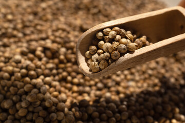 Organic food, spice coriander seeds