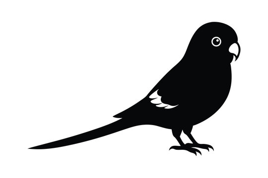 recommend clip art: Budgerigar Silhouette, Parrot Silhouette, Vector Budgie Icon, Bird Illustration, Avian Clipart