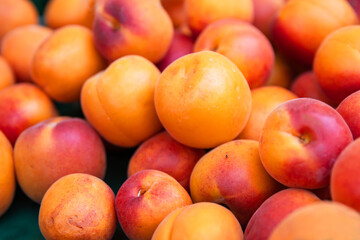 Closeup of vibrant orange ripe and fresh apricots heap displayed at the local farm market. Smooth texture of the colorful fruit skin. Healthy eating organic farming concept.