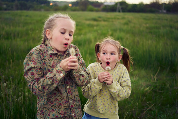 beautiful blonde sisters play with a dandelion in the field