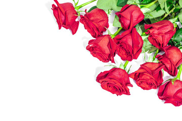 A bouquet of red roses on a white background. Blooming flowers, festive concept for Mother's Day