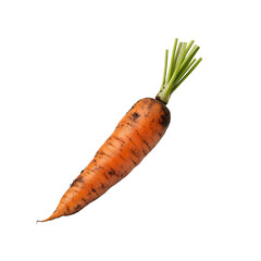 Fresh, vibrant carrot with green leaves, perfect for healthy meals, salads, or cooking. A delicious root vegetable.