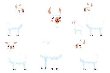 Fototapeta premium Set of cute llamas in different poses illustration isolated on transparent background