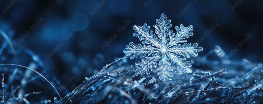 Poster a beautiful snowflake rests delicately on a bed of frost, showcasing intricate patterns against a se