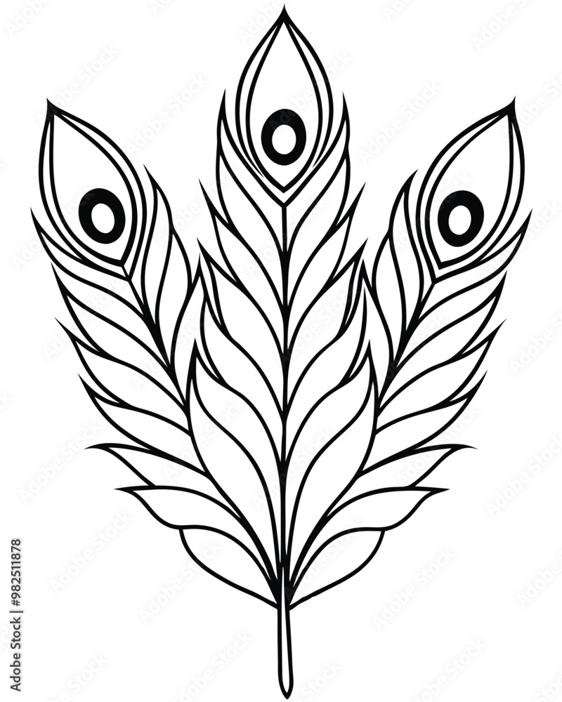 Wall mural Peacock feather vector line art isolated on  a white background