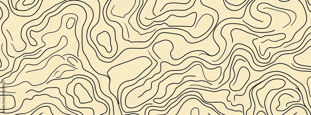 Poster abstract topographic map contour and lines pattern background. landscape contour textures and wavy b