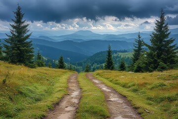 Fototapeta premium Scenic landscape of the Carpathian mountains in Ukraine. Selective focus with shallow depth of field.