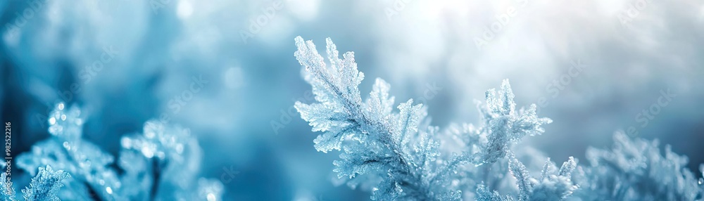 Poster A close-up view of delicate frost crystals shimmering in soft blue light, creating a serene and tranquil winter atmosphere.