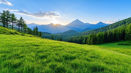 Fototapeta premium Sunset Over Green Mountain Meadow
