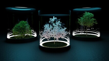ed render of trees under glass © Mat Karmon