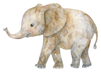 PNG Cute watercolor illustration of a baby elephant wildlife animal mammal.