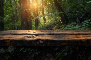 Sunlit Wooden Bench in Tranquil Forest Glade - Nature Lovers, Eco Tourism, Relaxation