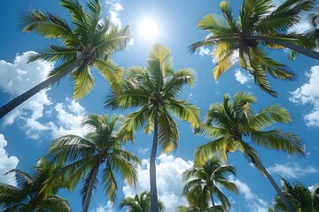 Fototapeta premium Palm Trees Against Bright Blue Sky on a Sunny Day Perfect for Summer Vacation Posters, Cards, and Print Designs