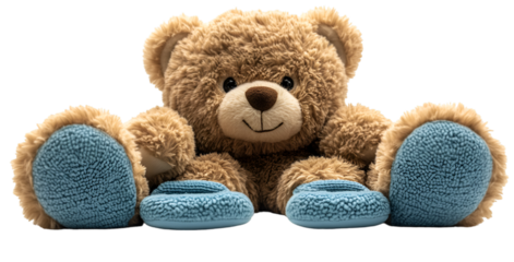 a teddy bear with blue shoes. 