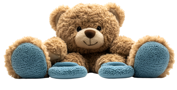 a teddy bear with blue shoes.