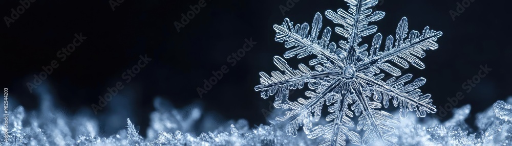 Poster A close-up of a delicate snowflake resting on soft snow, showcasing intricate patterns and glistening ice structures.