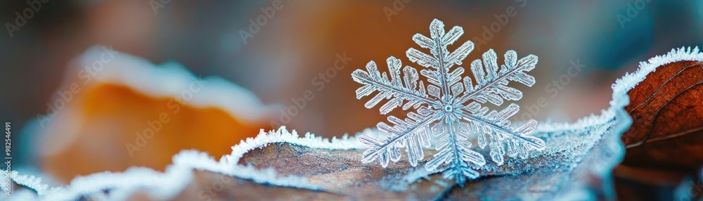 Aufkleber a delicate snowflake rests on a frozen leaf, showcasing intricate patterns against a backdrop of win