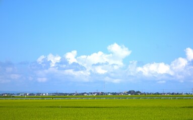 夏の空と雲　