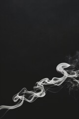 Obraz premium White smoke curls on dark background. Mystery concept. Design for album cover and abstract background with copy space.