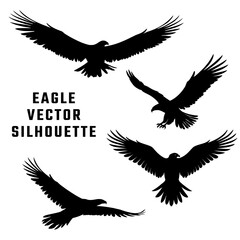 Eagle Poses Silhouette. birds flying, sitting. bird of prey illustration. 