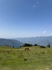 Obraz premium Meadows and mountains of Shogran, Khyber Pakhtunkhwa, Pakistan