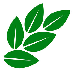 shape collection different green leaves of tree, plants, leaf and swirls branches. Stock vector icon, isolated white background. Element for ecographic, natural design, vegan logo, bio labels