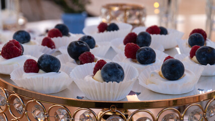 Tray with sweet blackberry and blueberry bites with an out-of-focus background