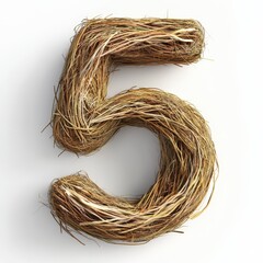 3D number 5 with nest texture realistic modern design, soft lighting, white background. 