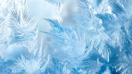 Close-Up of Frost Pattern on Glass Showcasing Intricate Details