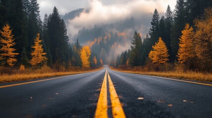 Naklejka premium Autumn Road Through Foggy Forest