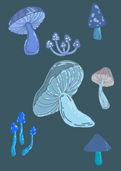 illustration of mushrooms