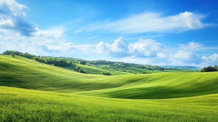 Obraz premium Rolling Green Hills Under a Blue Sky