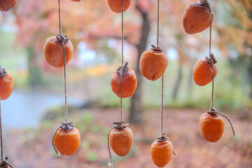 japanese temple in autumn