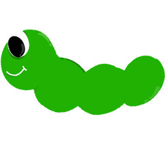 green frog on a white background