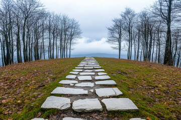 A straight stone pathway runs through a grassy landscape lined with bare trees, winter