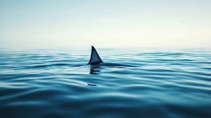 Fototapeta premium A dramatic shot of a shark's fin slicing through the water with a vast, empty background. The clear space allows for prominent text placement. -