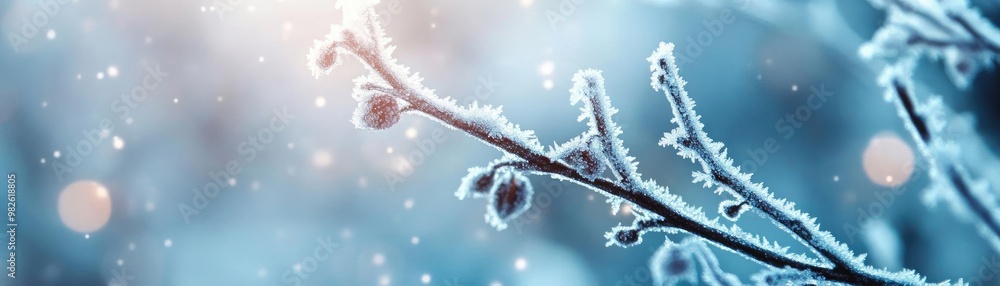 Aufkleber frost-covered branch shimmering in sunlight, creating a serene winter atmosphere with soft bokeh bac