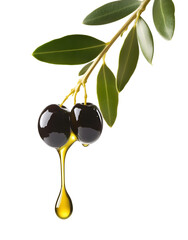 Black Olives with Dripping Oil on Branch Isolated on White Background Representing Freshness and Mediterranean Essence, Cutout, Isolated on White Background